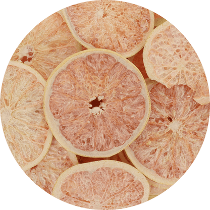 Freeze Dried Grapefruit Slices - Vegan America