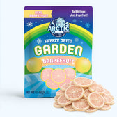 Freeze Dried Grapefruit Slices - Vegan America