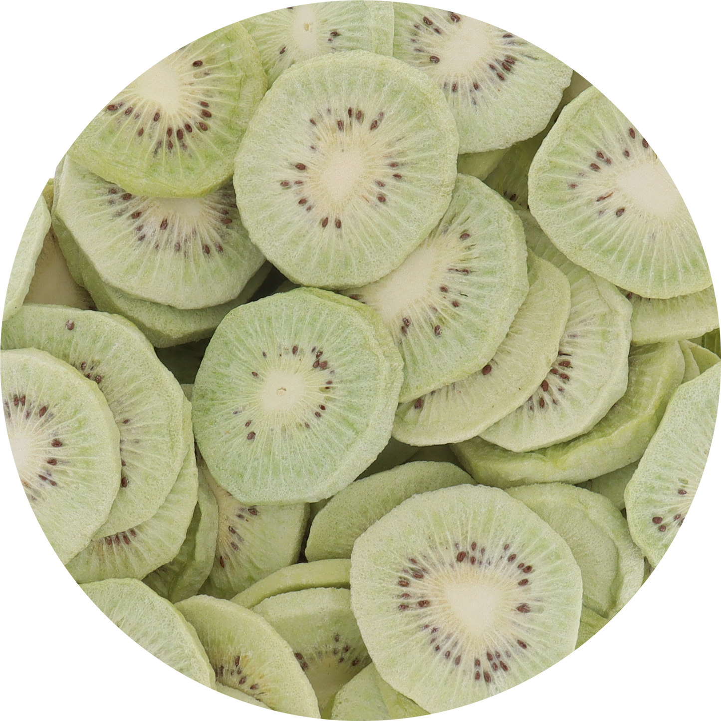 Freeze Dried Green Kiwi