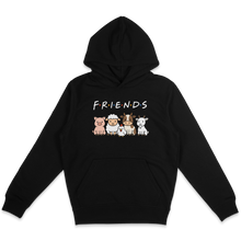 Friends Hoodie