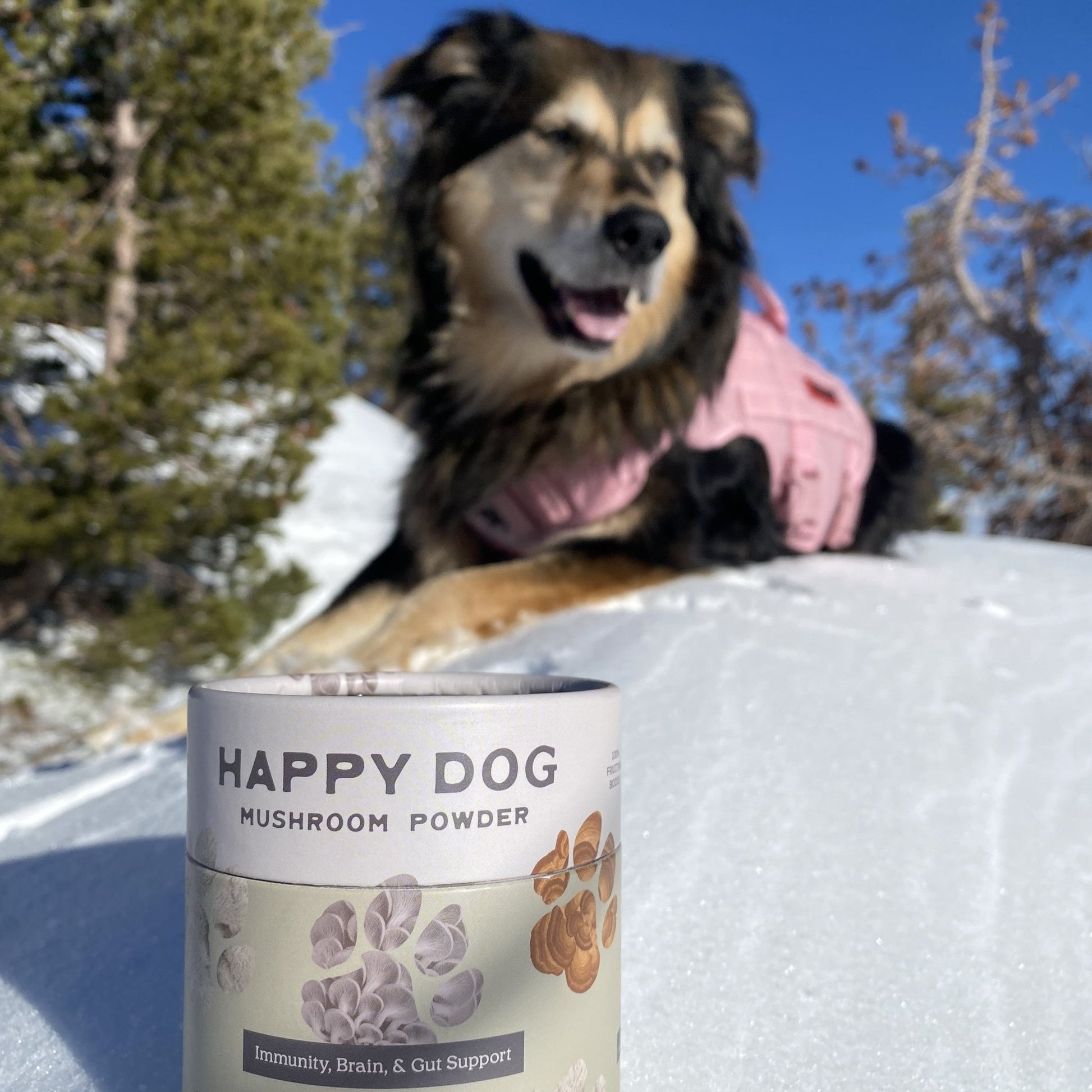 Happy Dog Mushroom Powder - Vegan America