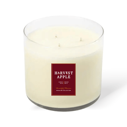 Harvest Apple Natural Candle 16oz 3 - Wick - Vegan America