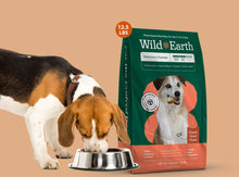Dog Kibble