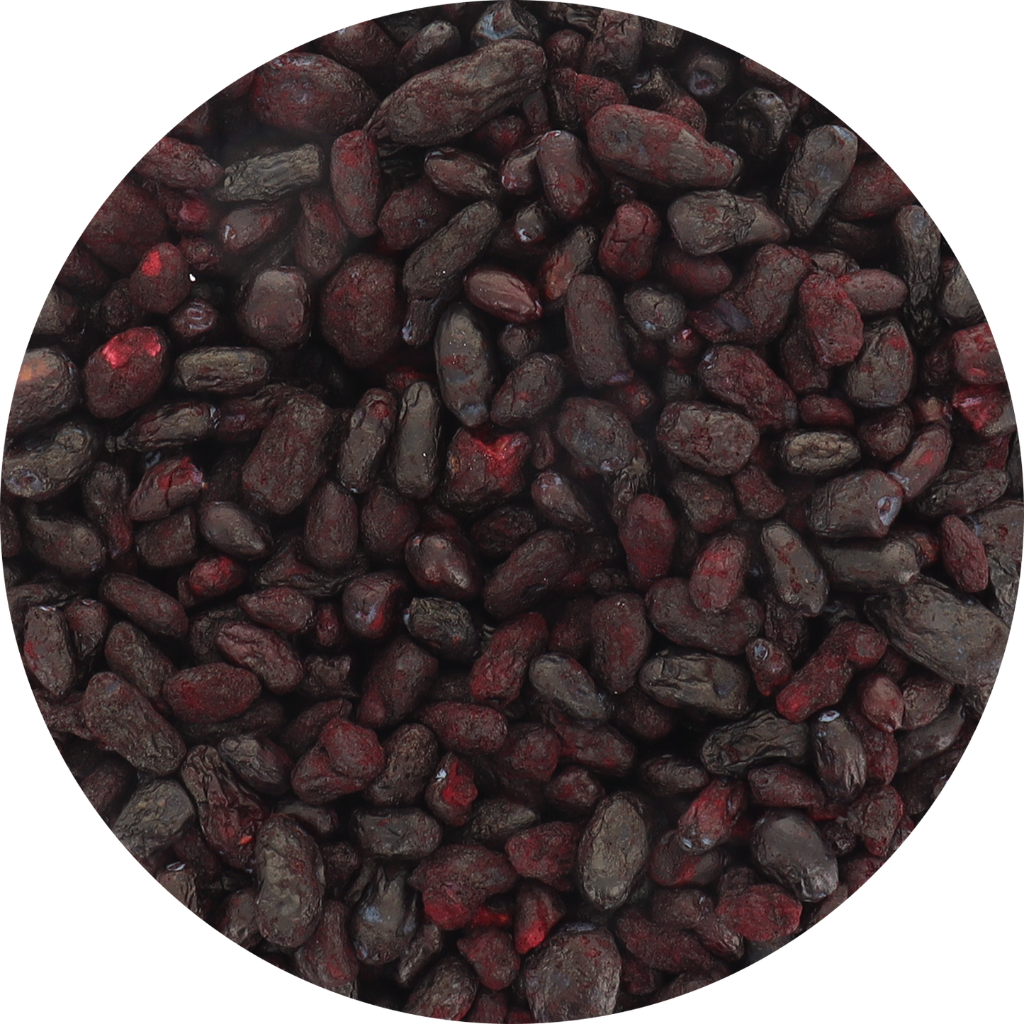 Freeze Dried Organic Honeyberry
