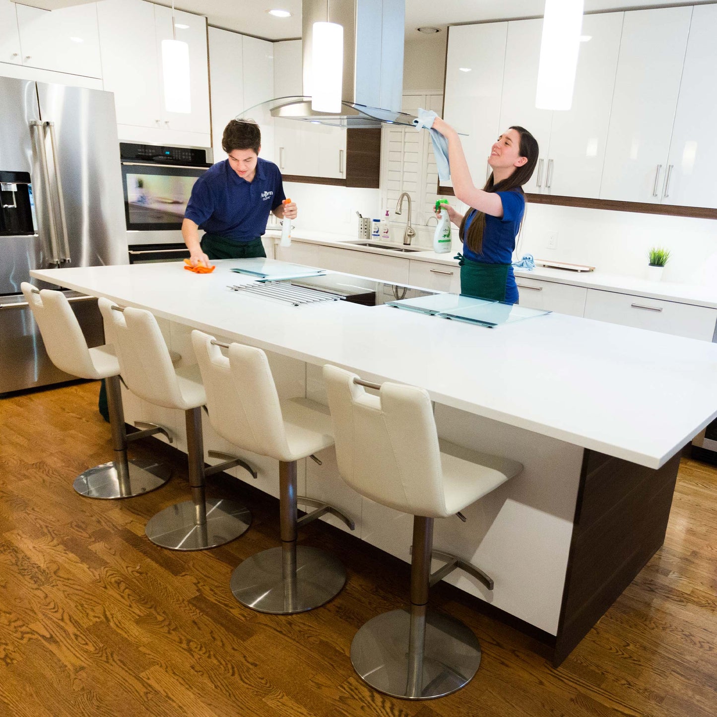 AspenClean Professional House Cleaning Kit