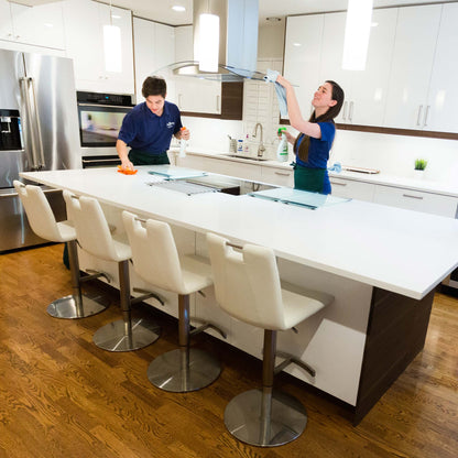 AspenClean Professional House Cleaning Kit
