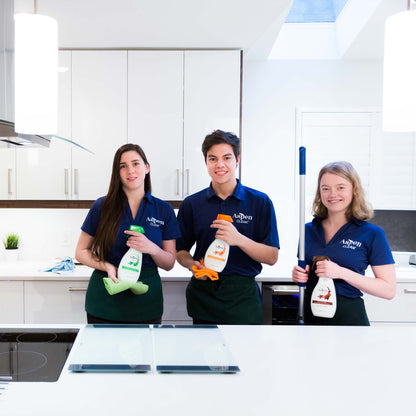 AspenClean House Cleaning Kit with Scouring Powder