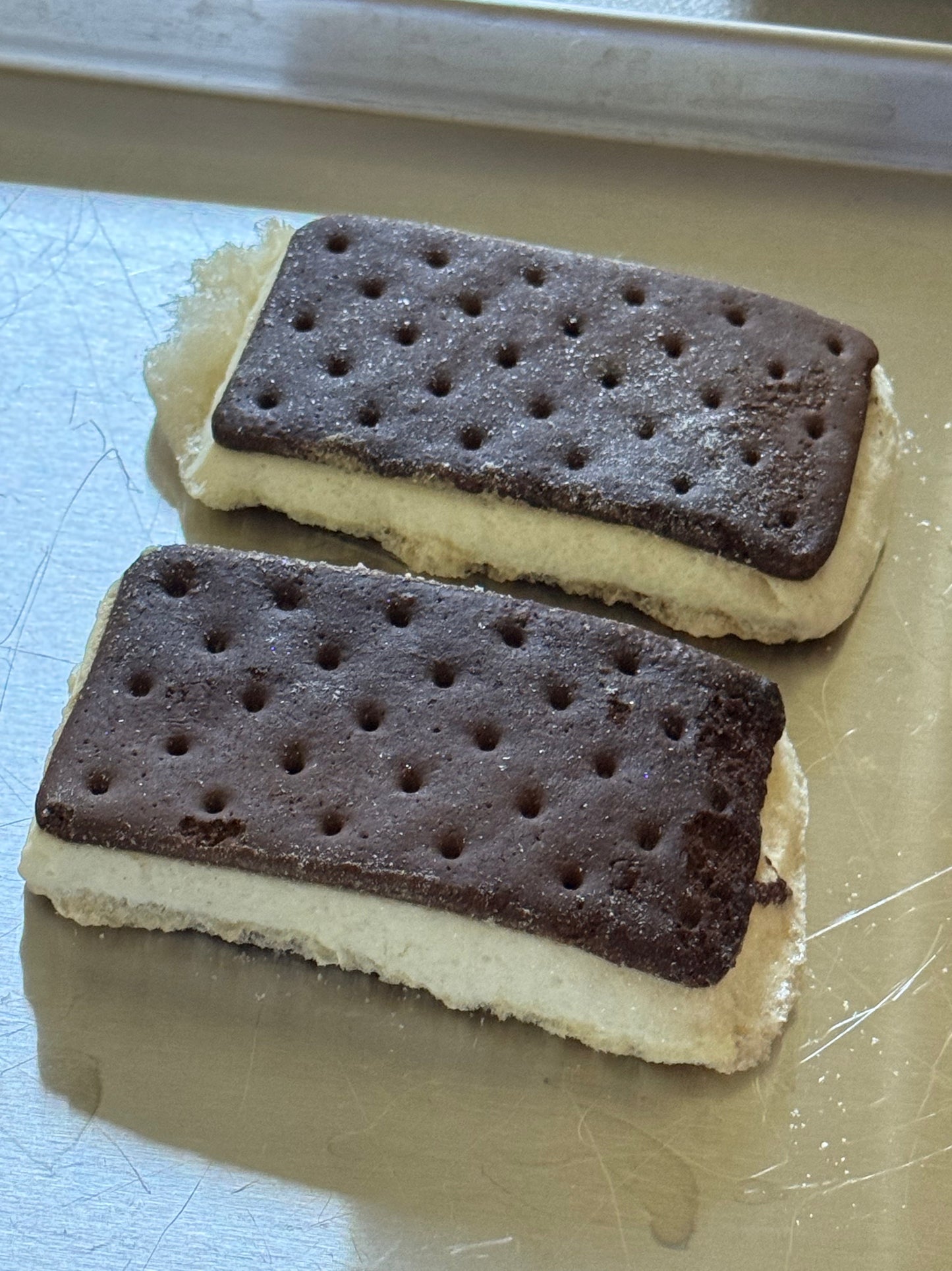 Freeze Dried Vegan Ice Cream Sandwich