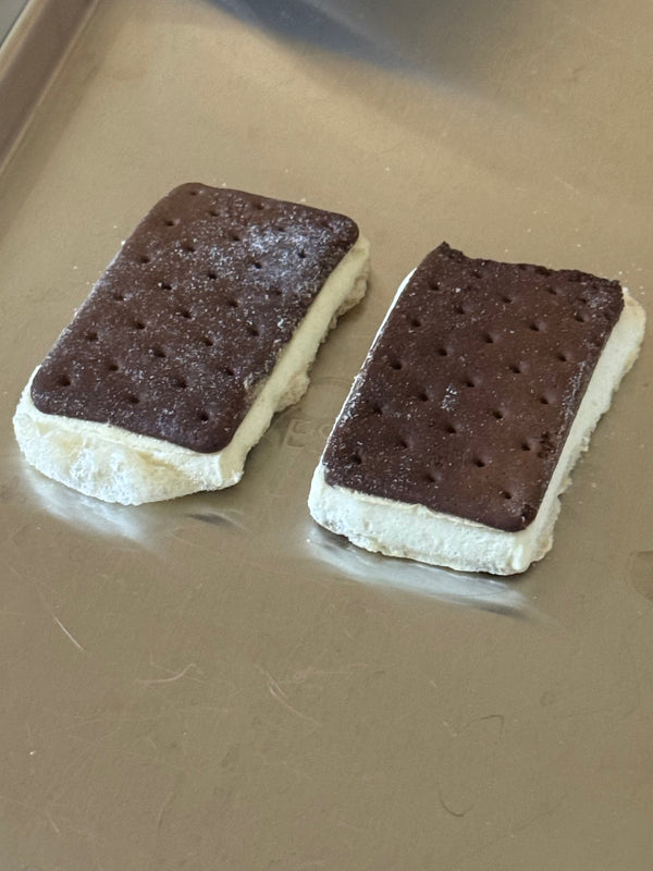 Freeze Dried Vegan Ice Cream Sandwich - Vegan America