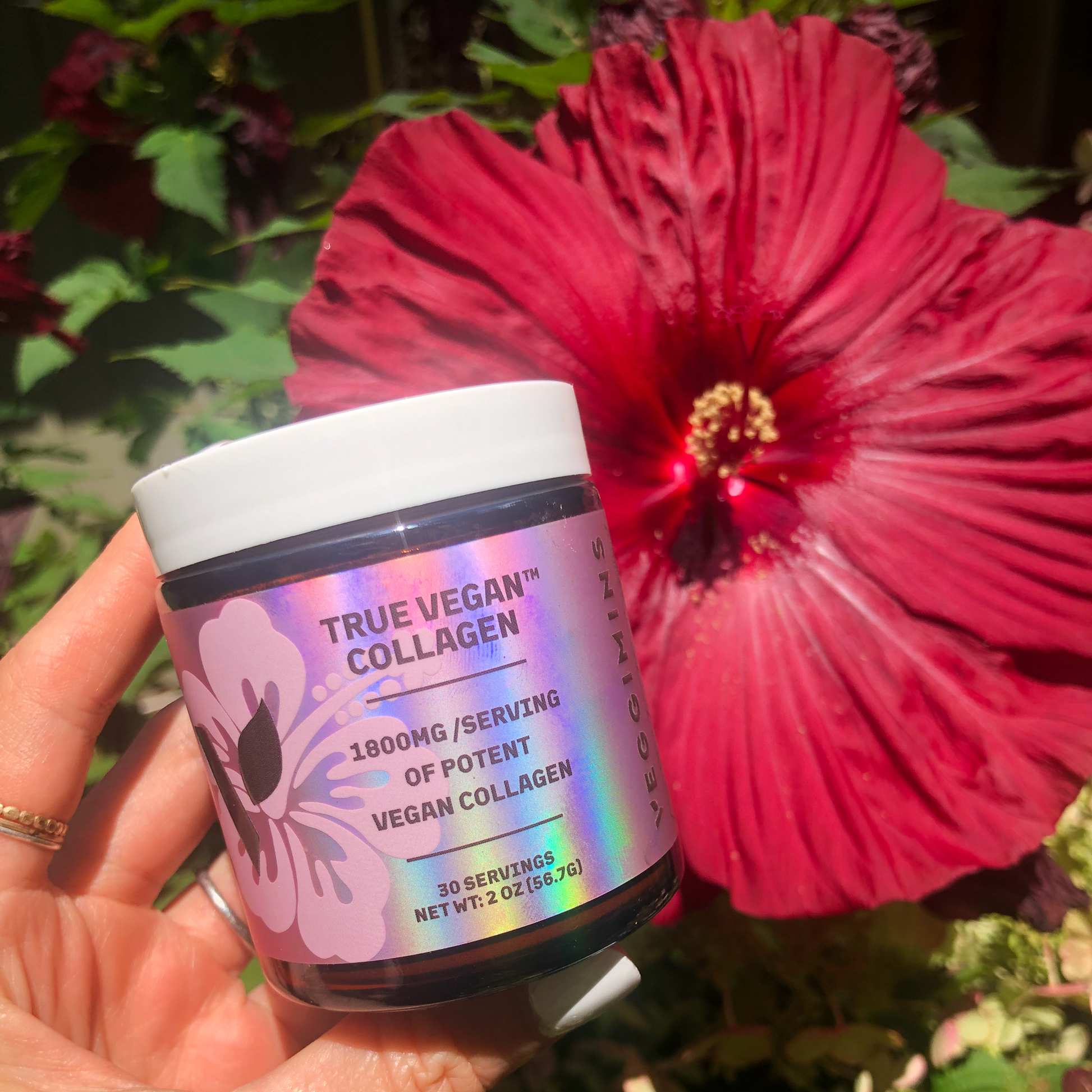True Vegan Collagen - Vegan America