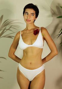 Shanta Brief - Neem Leaf Blend