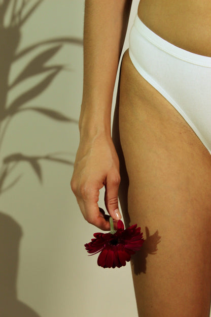 Shanta Brief - Neem Leaf Blend