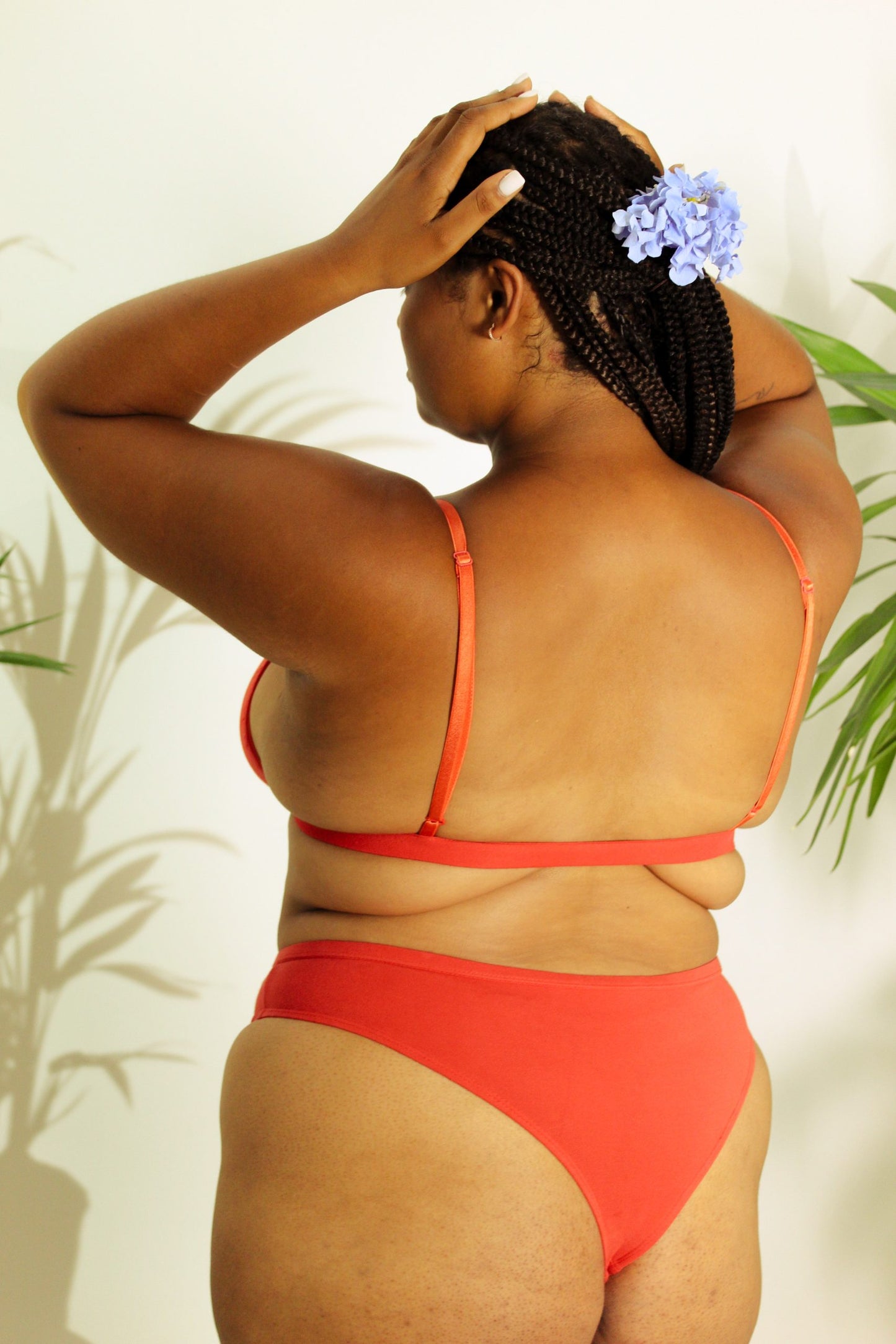 Shanta Brief - Sappan Bark