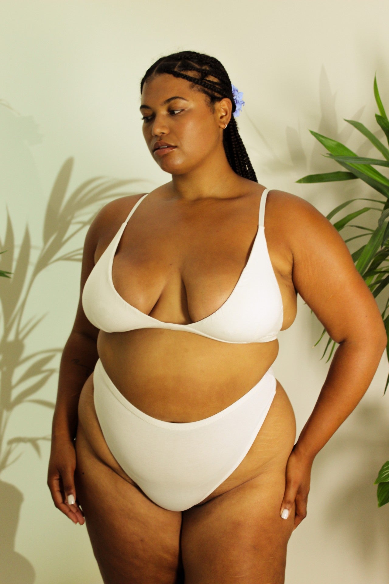 Shanta Brief - Neem Leaf Blend