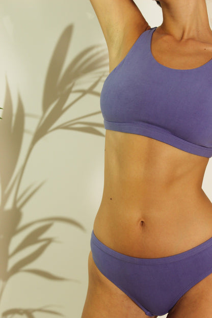 Shanta Brief Pack of 3 - Indigo Flower Blend