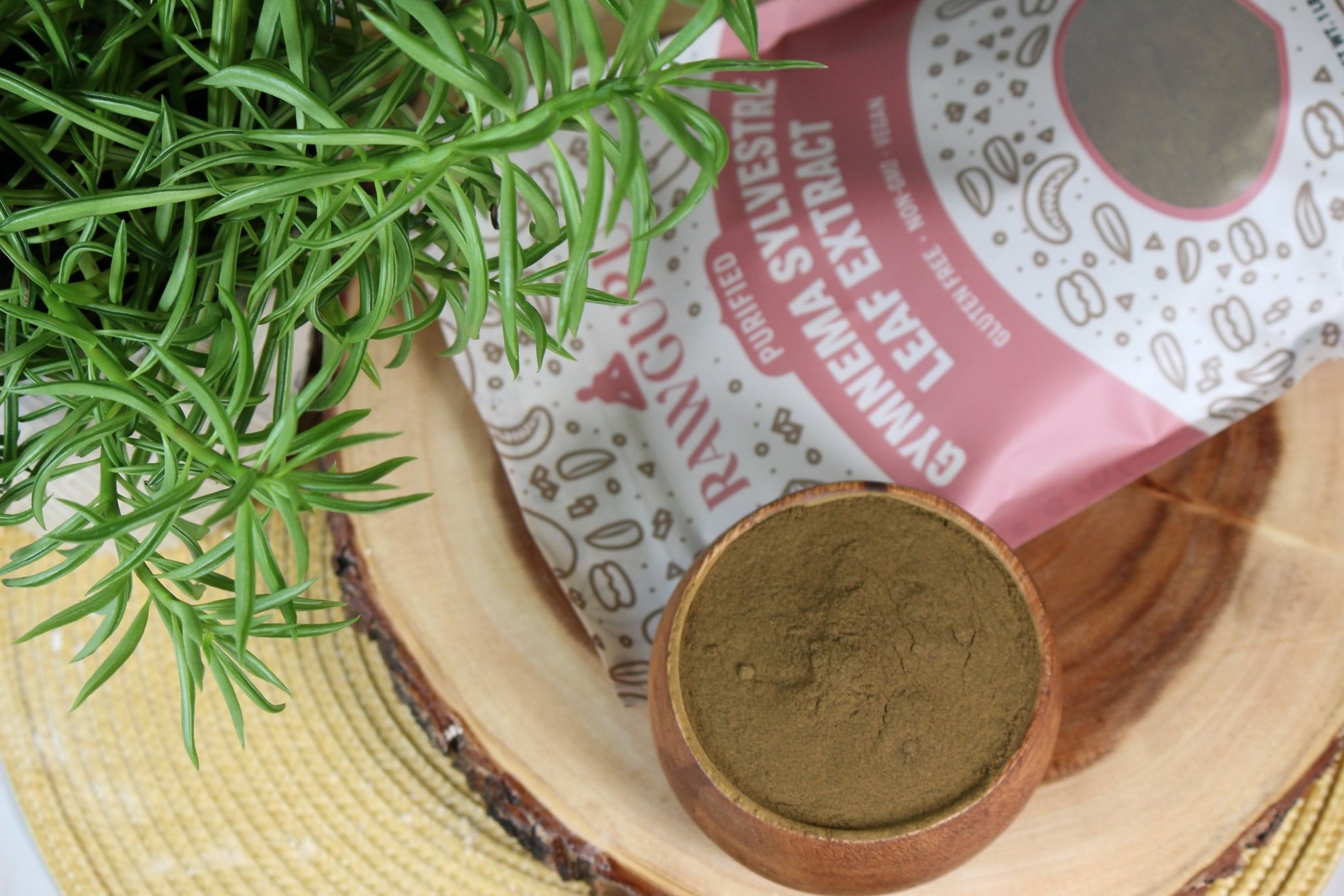 RawGuru Gymnema Sylvestre Leaf Extract - 16 oz - Vegan America