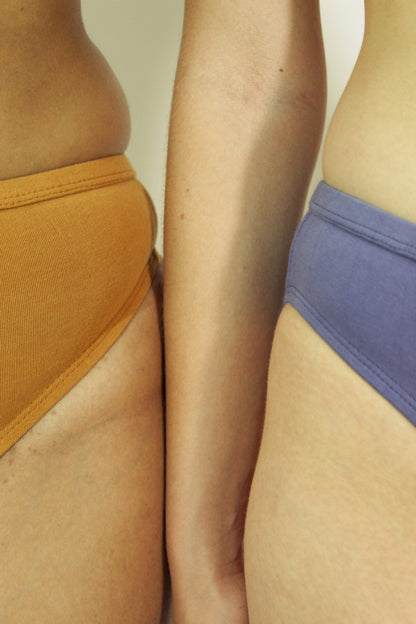 Shanta Brief - Ashwagandha Blend