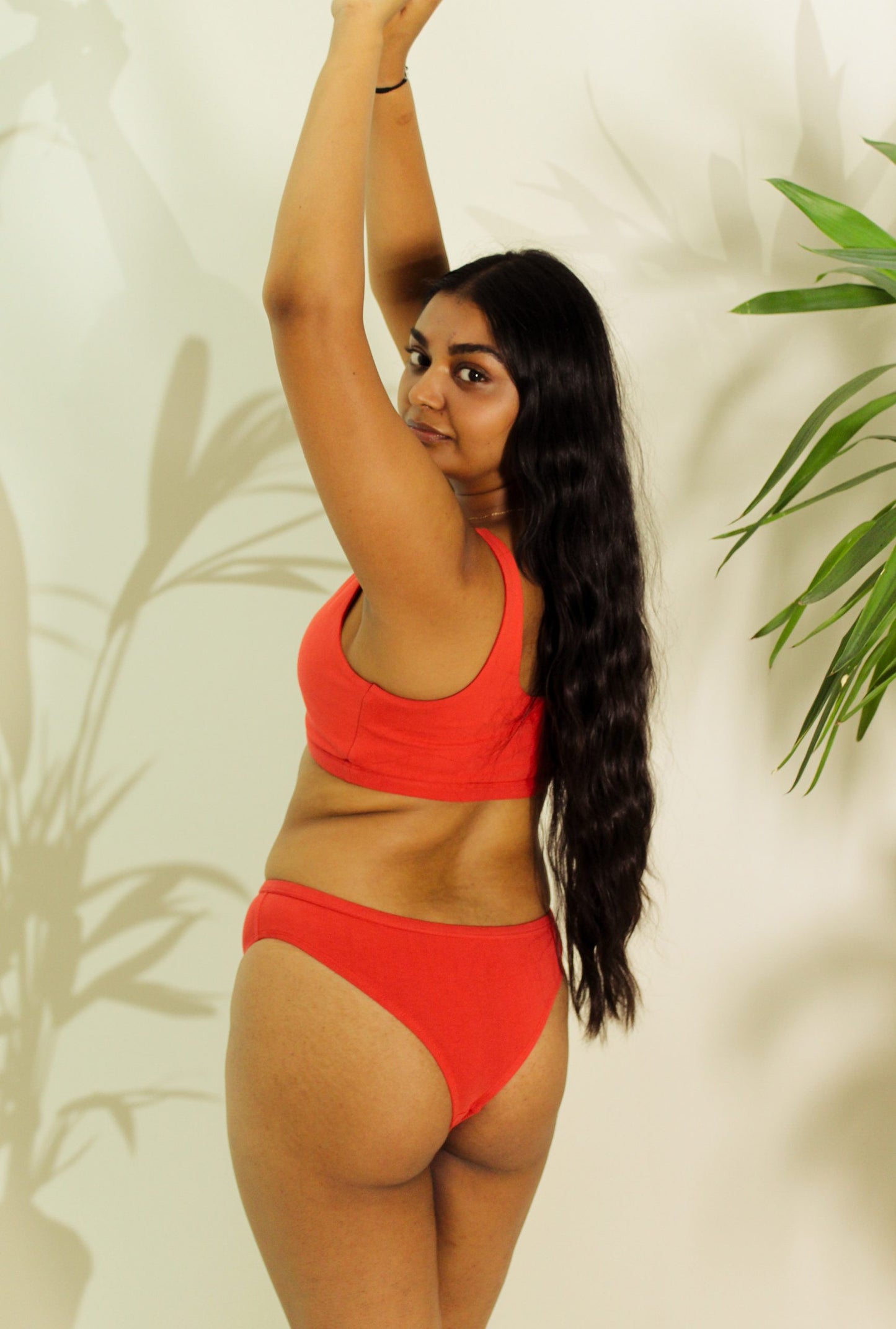 Shanta Brief - Sappan Bark