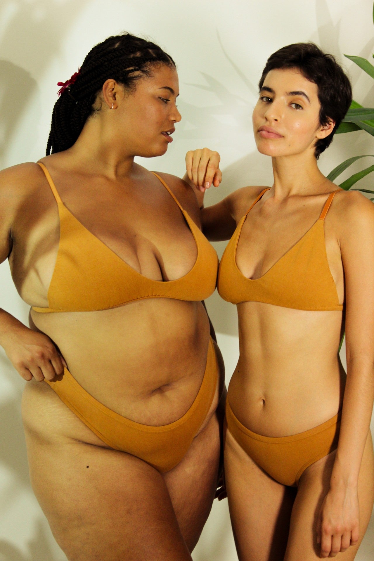 Shanta Bikini Bra & Brief Set - Ashwagandha Root Blend - Vegan America