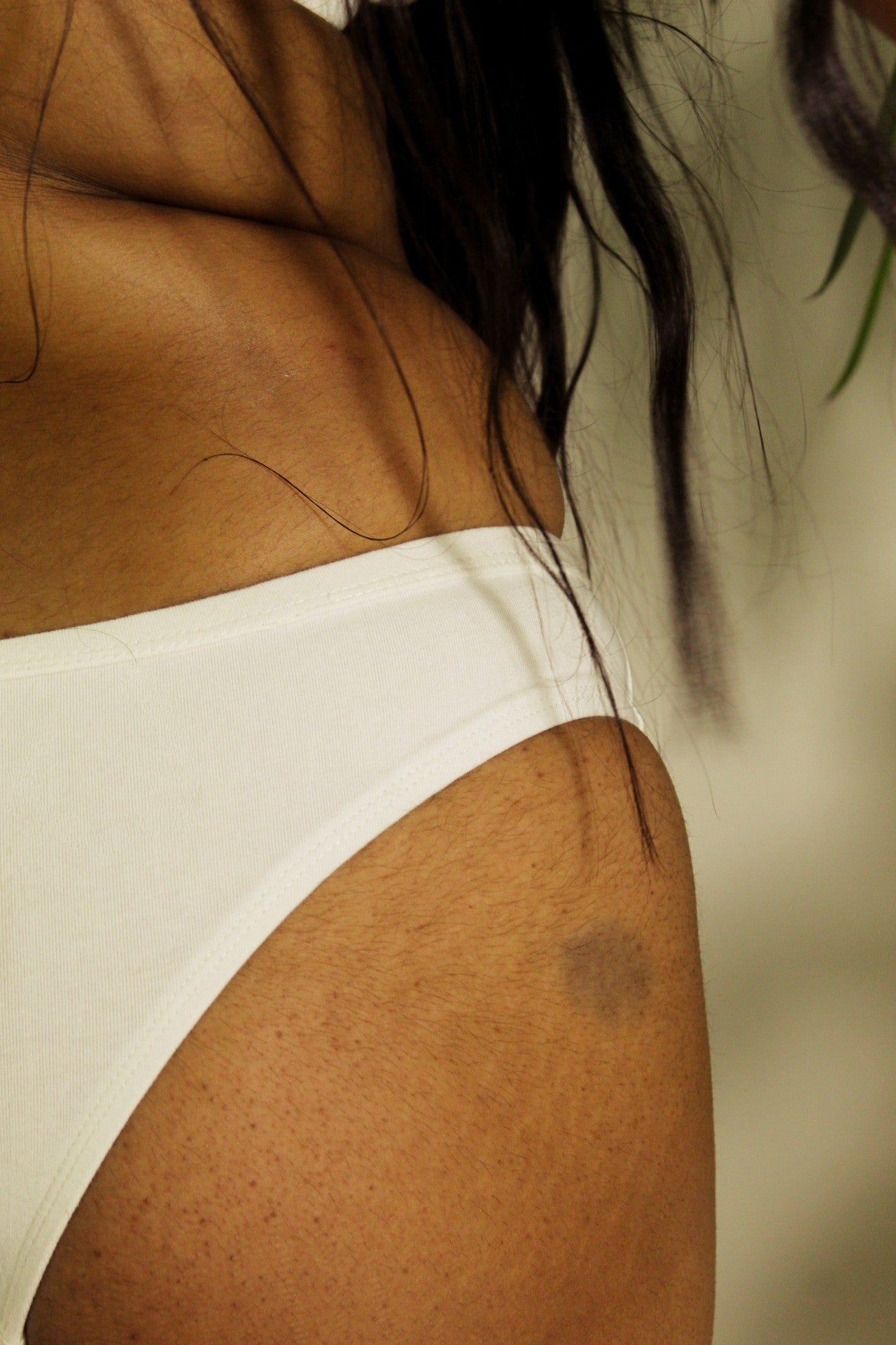 Shanta Brief - Neem Leaf Blend