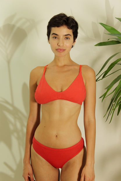 Shanta Brief - Sappan Bark