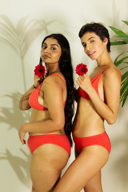 Shanta Brief - Sappan Bark