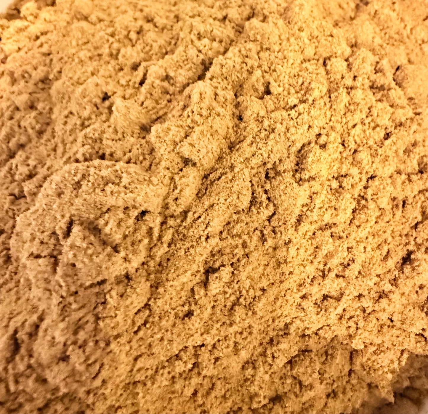 Cloud Forest Green Cardamom - Vegan America