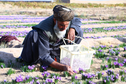 Gift Box Trio (A Jar of each Premium Saffron, Green Cardamom, Herati Mint Leaves)