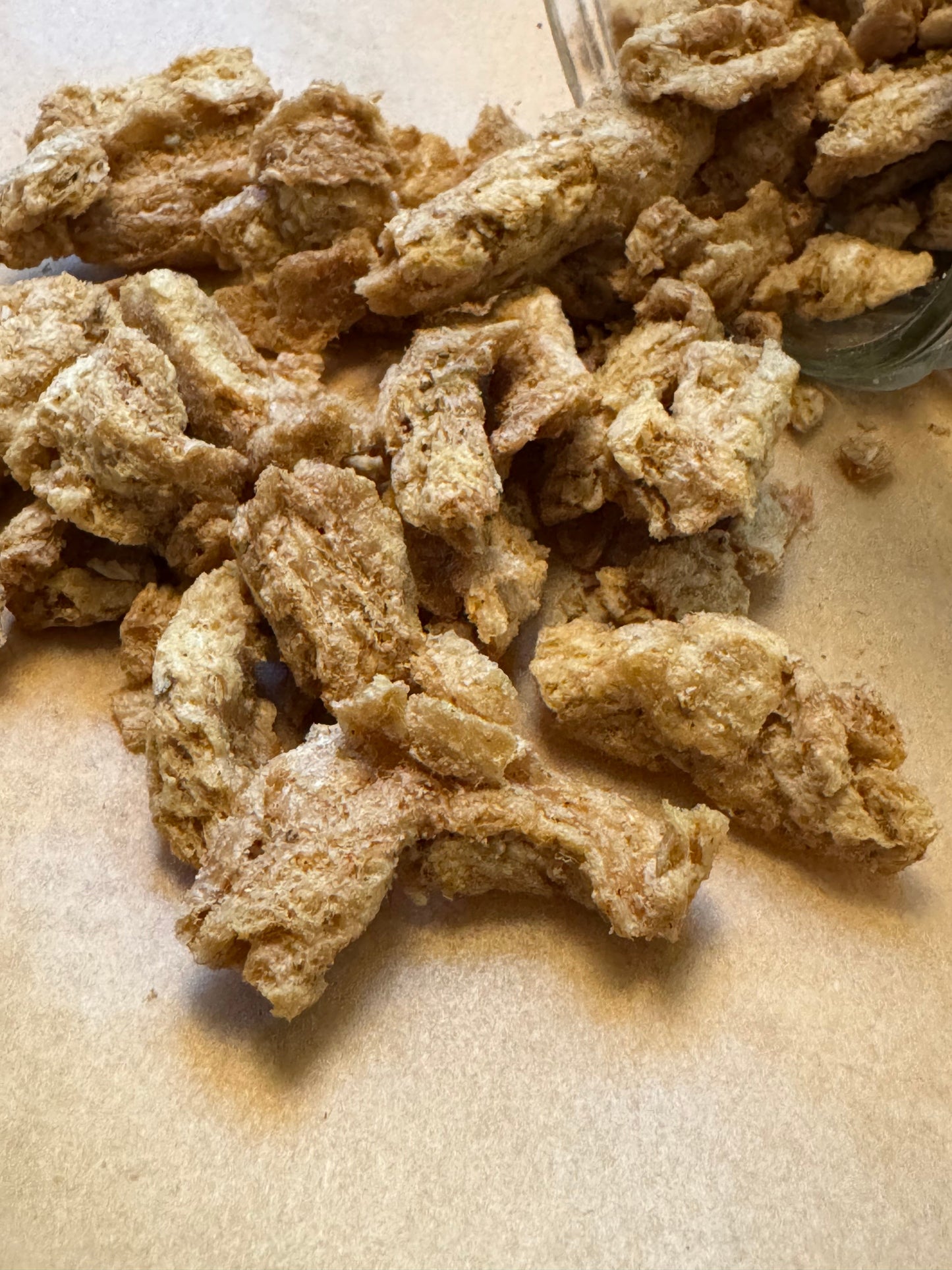 Holiday Feast Protein Strips (2 Servings)