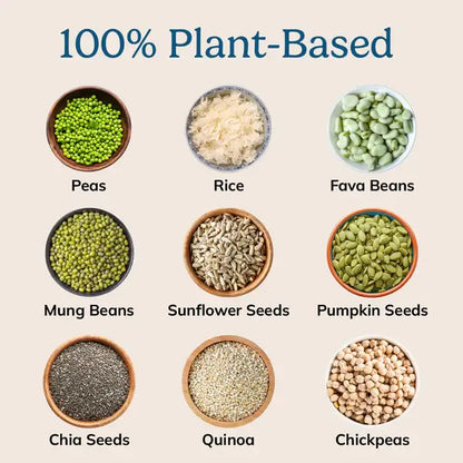 LiveComplete NutriMatch™ Plant Protein | Unflavored | 20 Servings | 20g Clean Vegan Protein Powder with 96% Match Rate