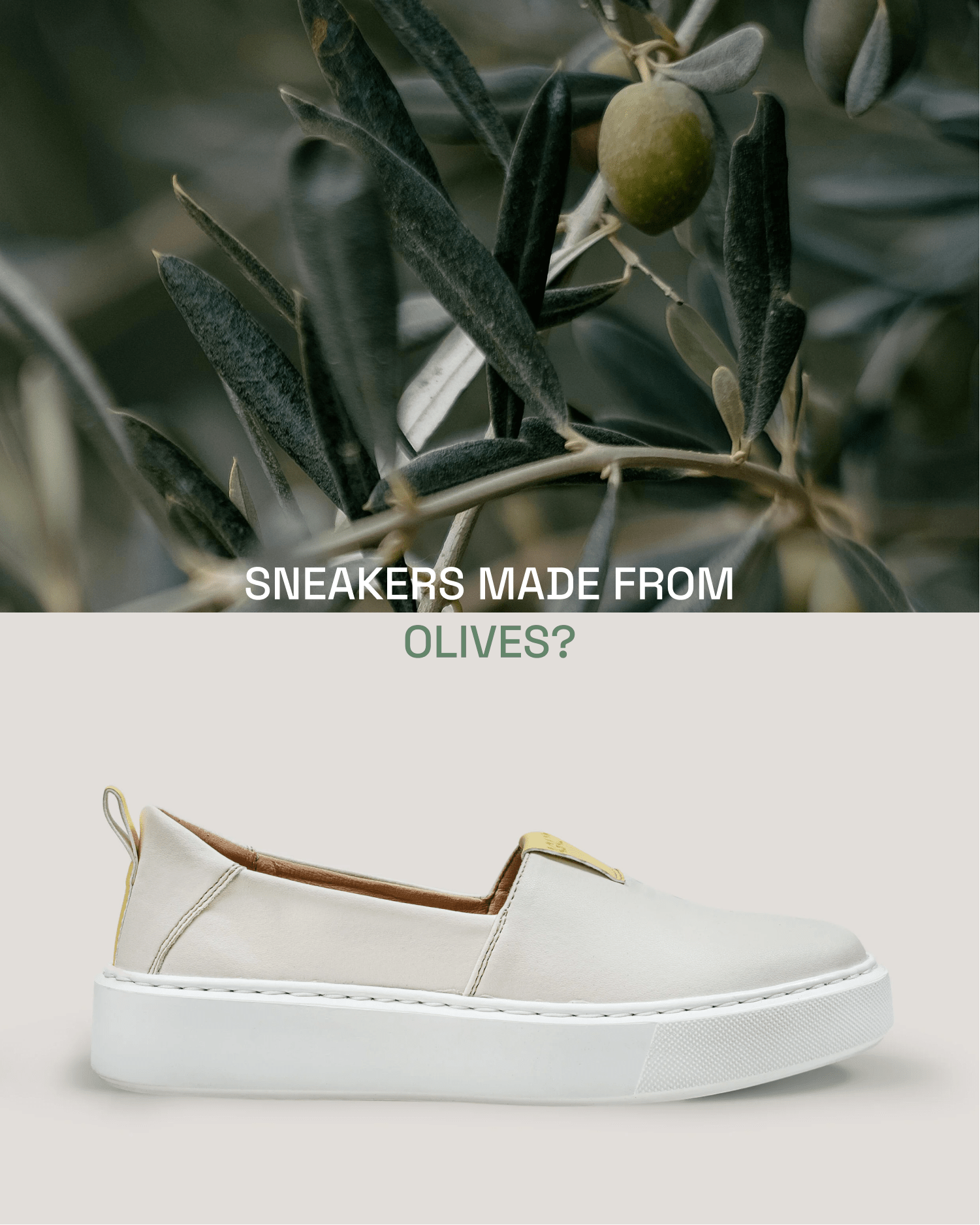 „You go, girl!” slip - on sneakers made from Italian olives - Vegan America