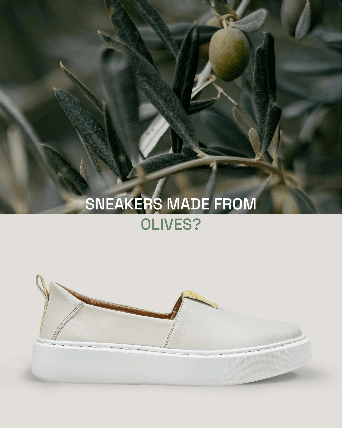 „You go, girl!” slip - on sneakers made from Italian olives - Vegan America