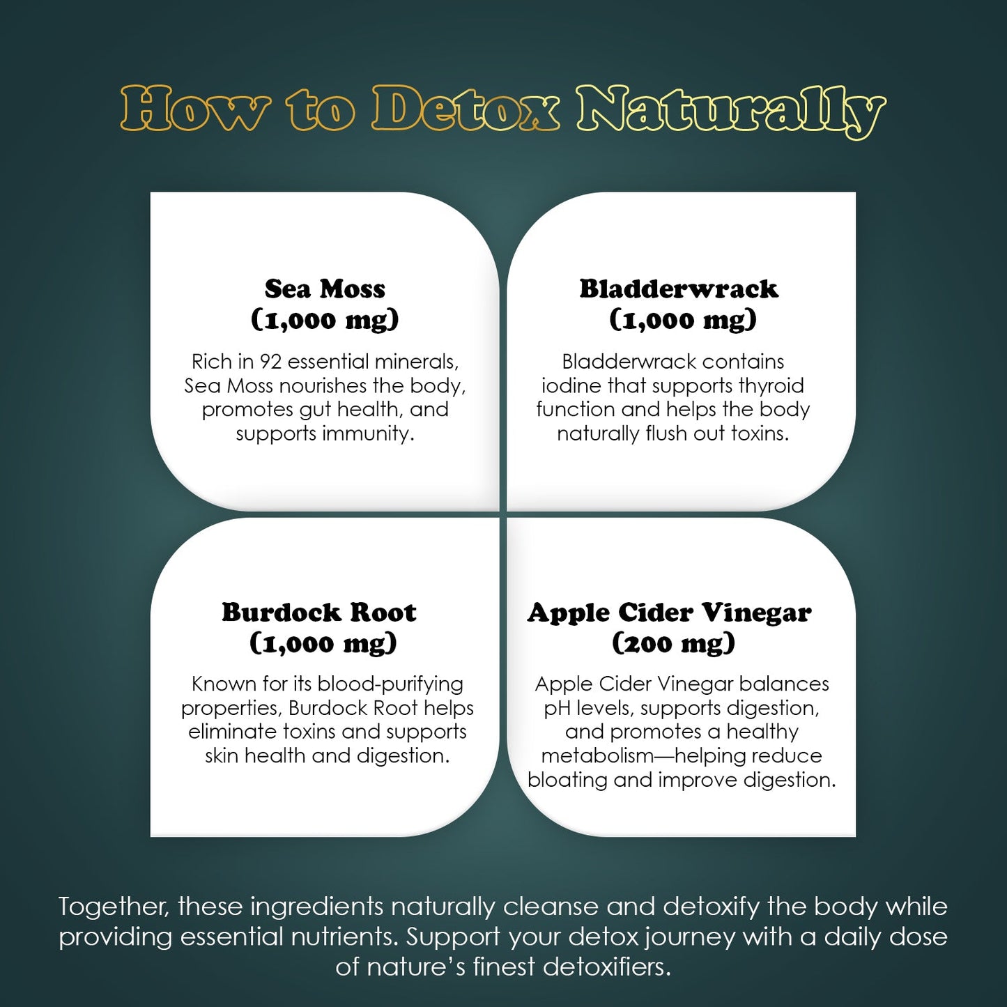 Total Body Wellness: Immune Support, Digestive Health, Energy & Multivitamins, Black Seed Oil, Sea Moss, Shilajit & Omega 3 Gummies, 4 - Pack - Vegan America