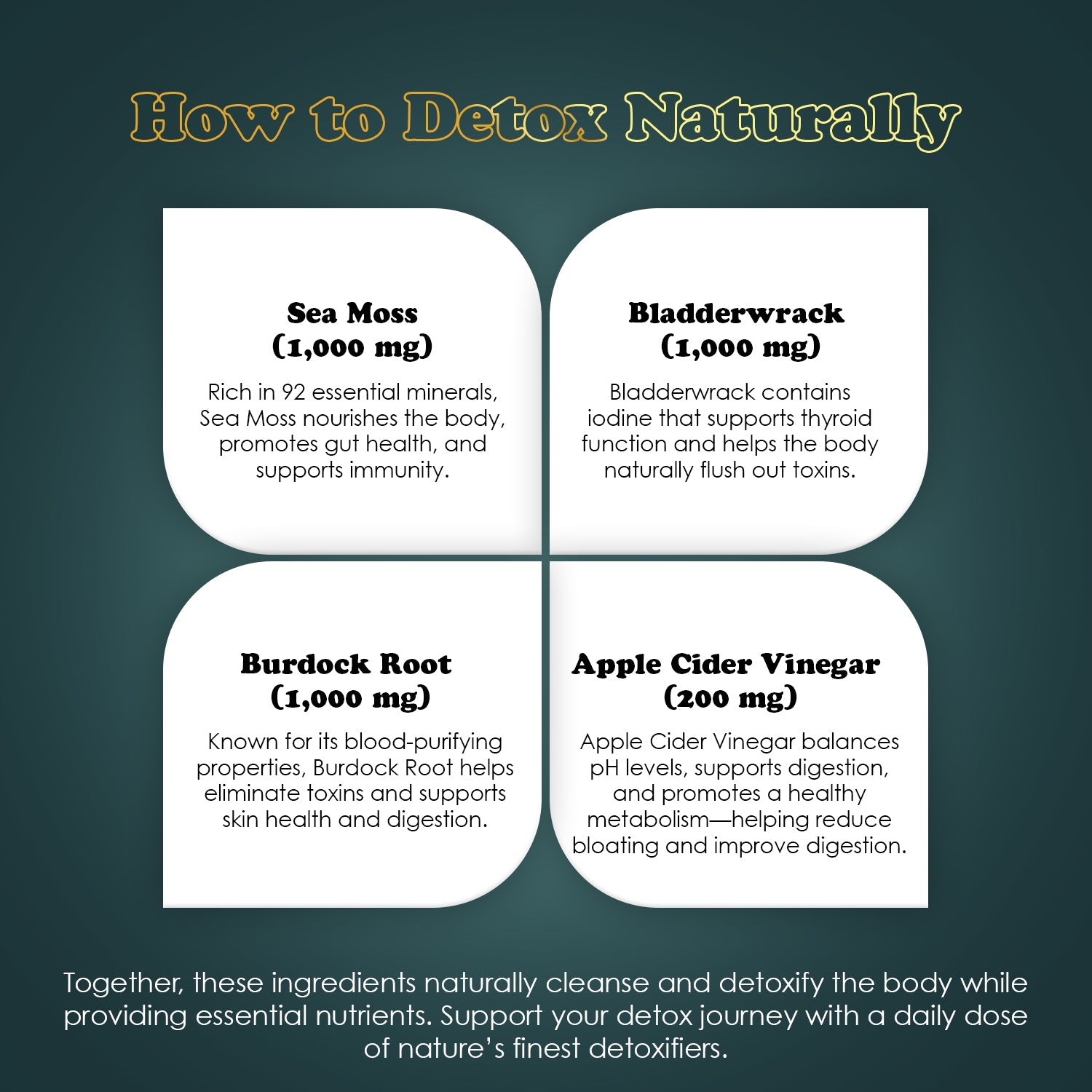 Total Body Wellness: Immune Support, Digestive Health, Energy & Multivitamins, Black Seed Oil, Sea Moss, Shilajit & Omega 3 Gummies, 4 - Pack - Vegan America