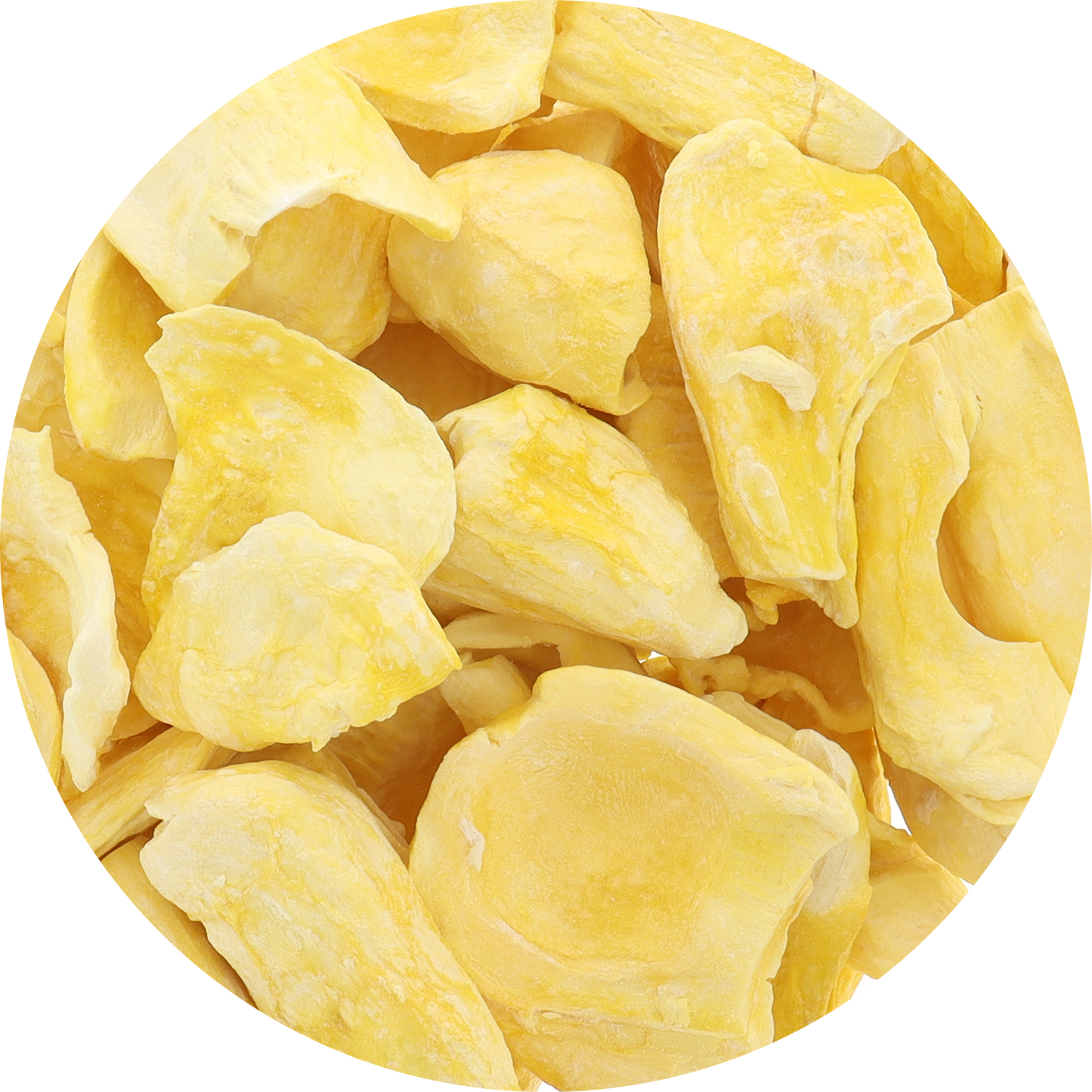 Freeze Dried Organic Ripe Jackfruit