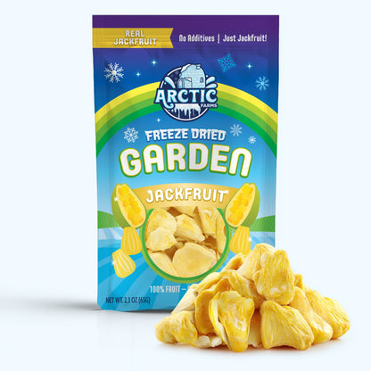 Freeze Dried Organic Ripe Jackfruit