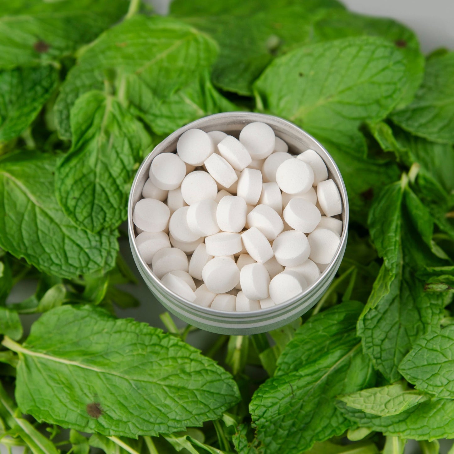Mint Toothpaste Tablets