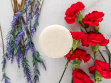Shampoo & Conditioner Kit - Vegan America