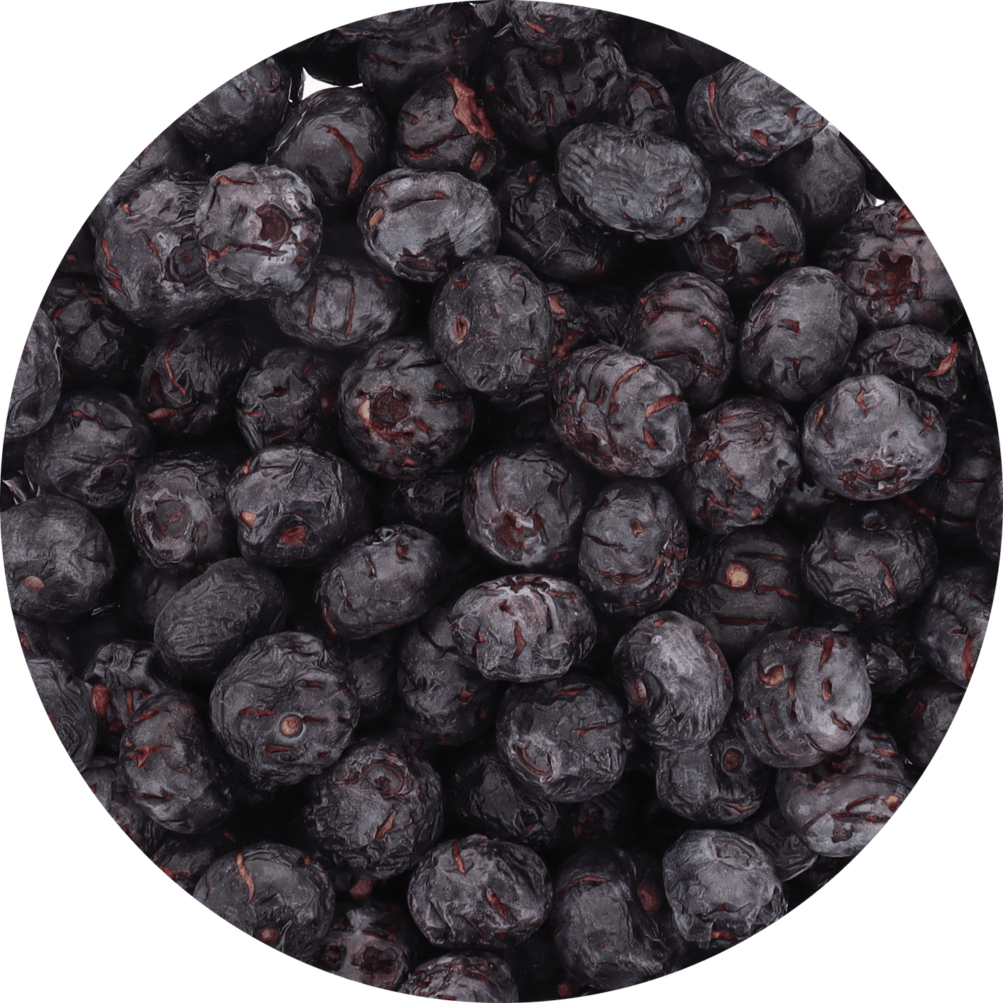 Freeze Dried JUMBO Blueberries - Vegan America