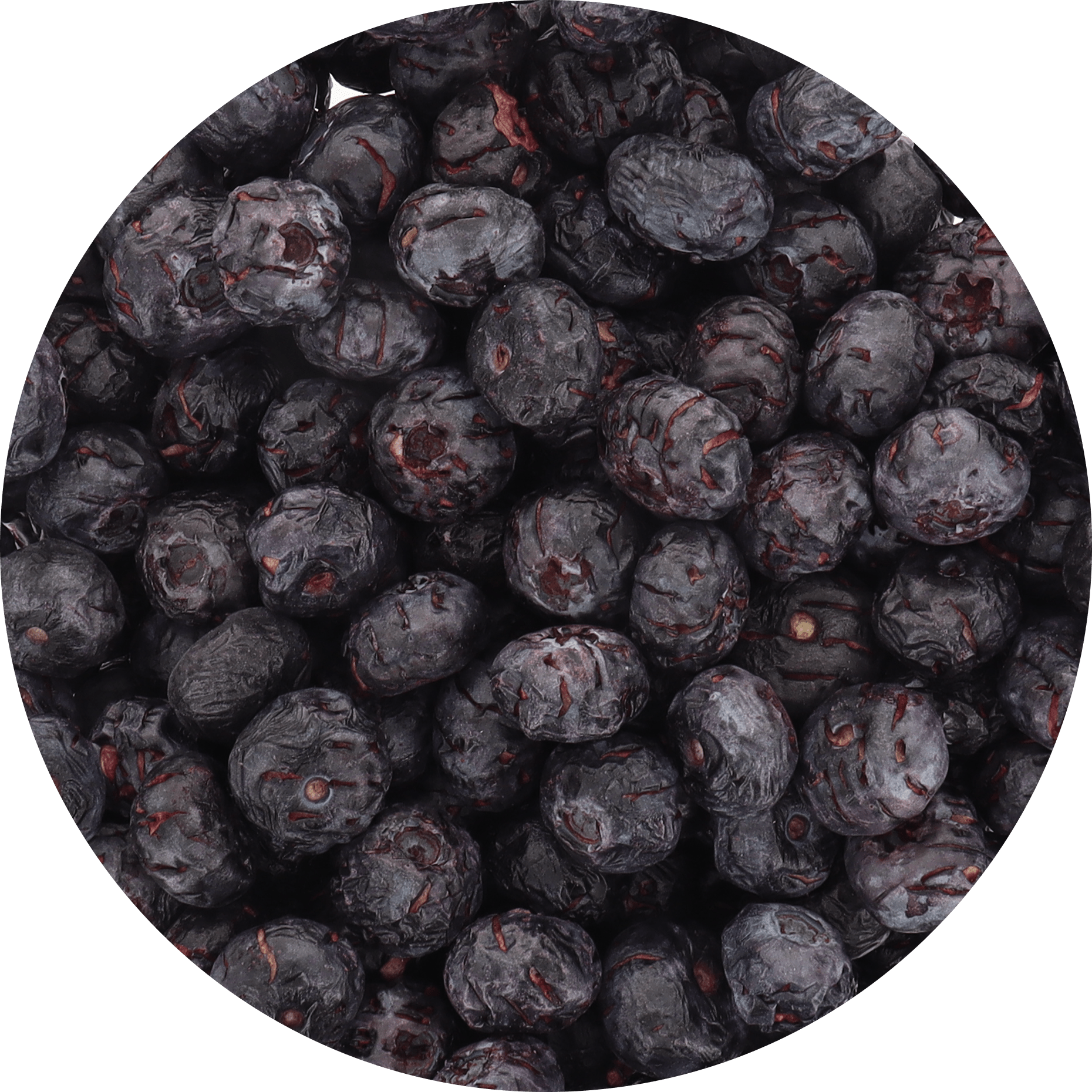 Freeze Dried JUMBO Blueberries - Vegan America