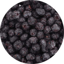Freeze Dried JUMBO Blueberries - Vegan America