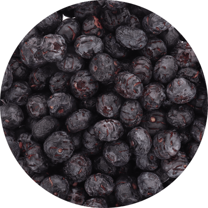 Freeze Dried JUMBO Blueberries - Vegan America