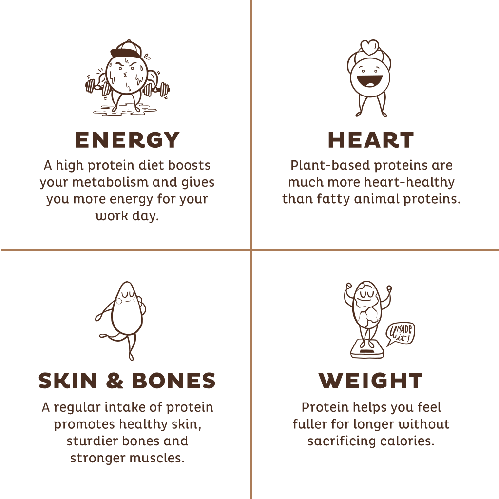 KOS Organic Plant Protein, Chocolate, 12 Count