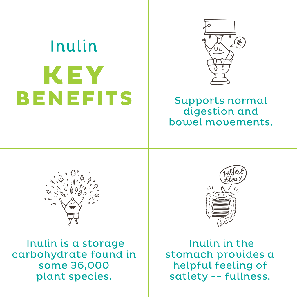 Organic Inulin Powder