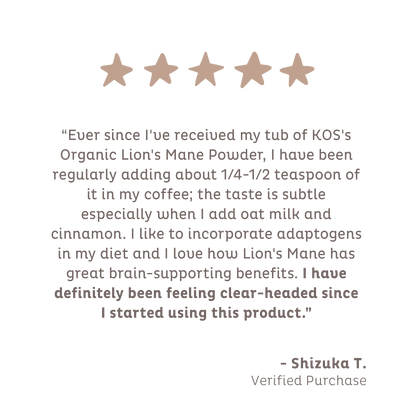 Organic Lion's Mane Powder, 35 Servings