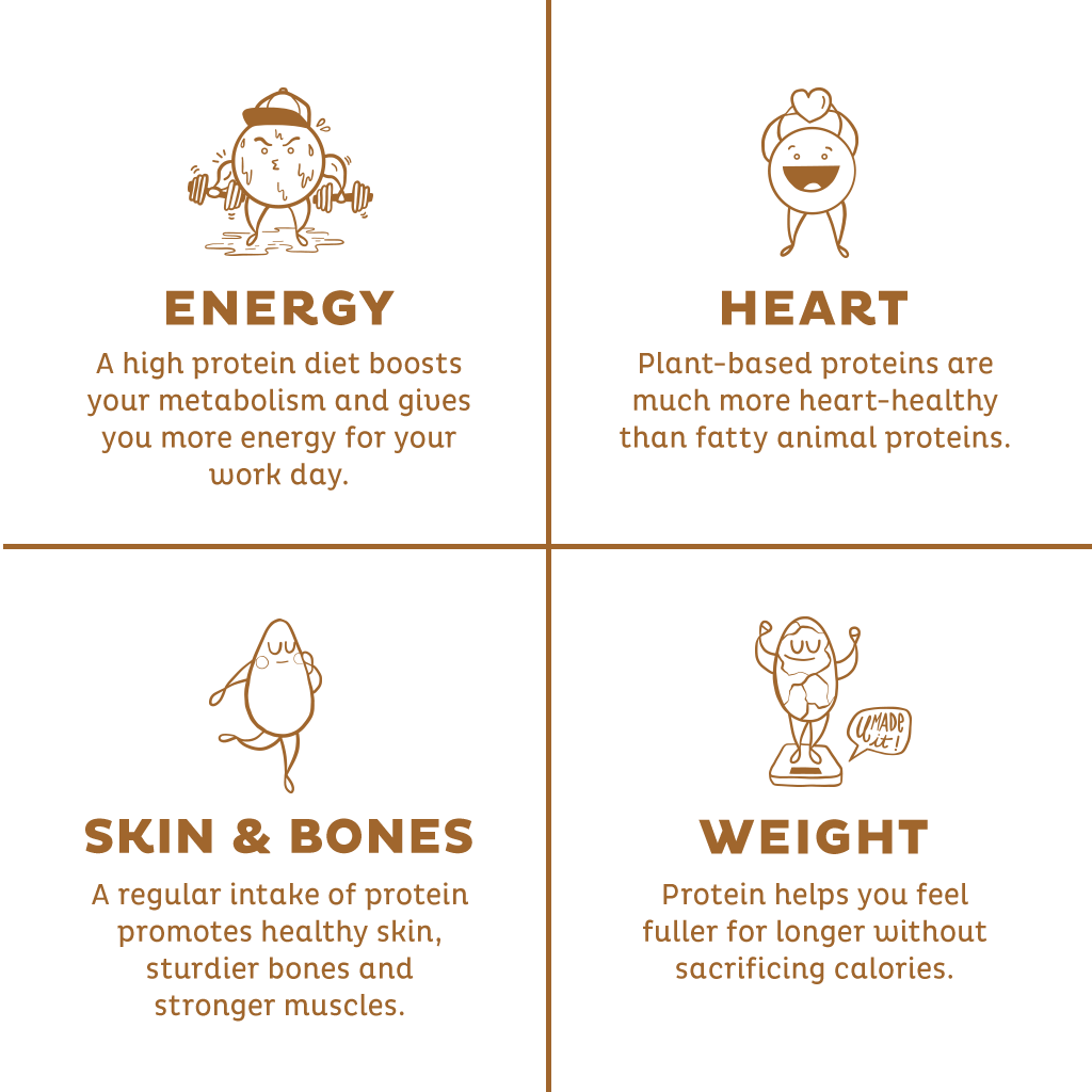 KOS Organic Plant Protein, Vanilla, 12 Count