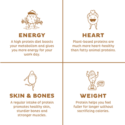 KOS Organic Plant Protein, Vanilla, 12 Count