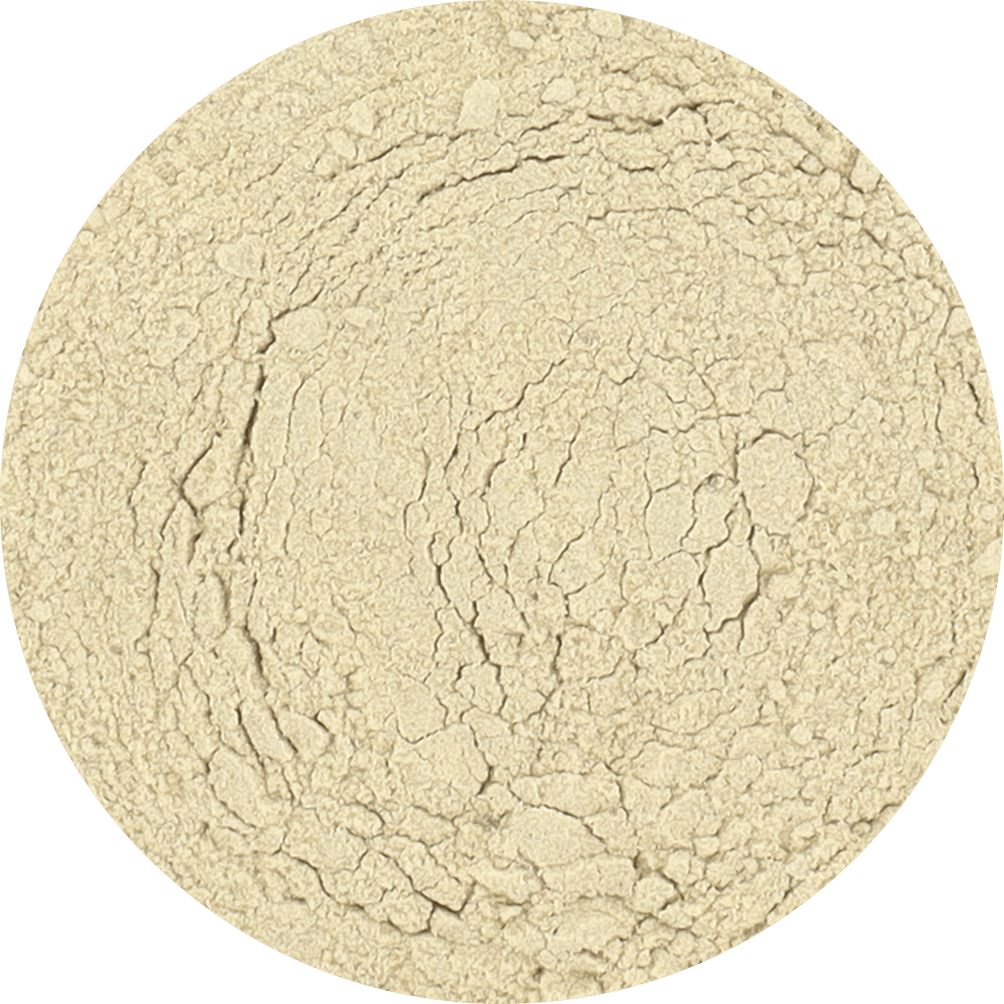 Freeze Dried Green Kiwi Powder - Vegan America