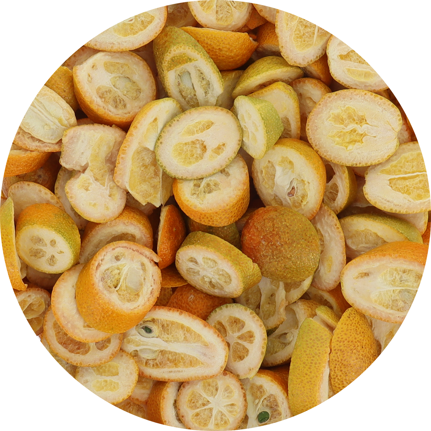 Freeze Dried Kumquat