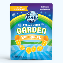 Freeze Dried Kumquat